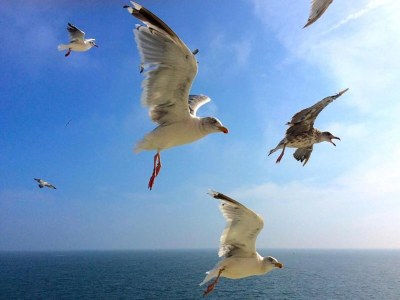 Holiday park Villa in De Koog nahe Texel Strand - Environment photo 28