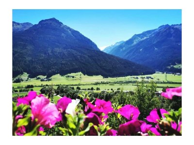 Holiday apartment Birkleiten - Environment photo 21