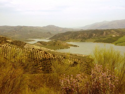 Holiday park Villa in Andalusien mit privatem Pool - Environment photo 34