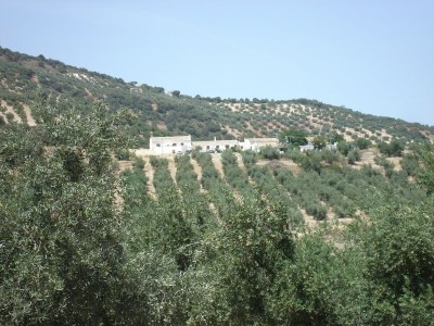 Holiday park Bauernhaus nahe Iznajar See - Environment photo 30