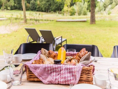 Holiday park Villa Teich in der Nähe von Maastricht - Outdoor photo 38