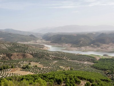 Holiday park Charming Farmhouse Retreat - Environment photo 31