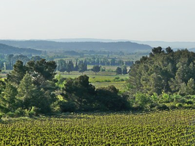 Holiday house La Lucque - Environment photo 19