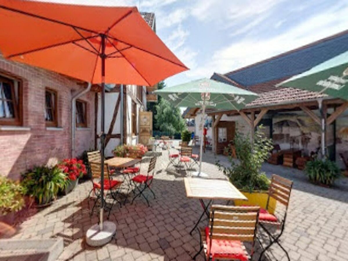 Holiday park Ferienhaus an der Wiese, Tanne - Outdoor photo 3