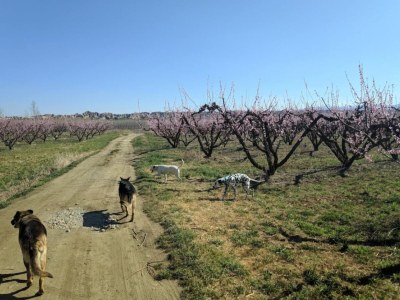 Holiday park Höhlenhaus in Guadix mit Pool und Grill - Environment photo 34