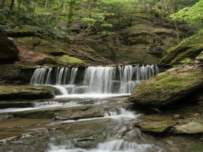 Holiday park Tuscan Hideaway with Pool - Environment photo 19