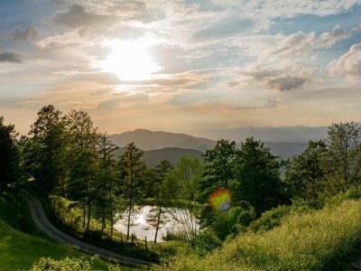 Holiday park Tuscan Hideaway with Pool - Environment photo 29