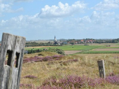 Holiday park Chalet in Texel with Private Sauna - Environment photo 15