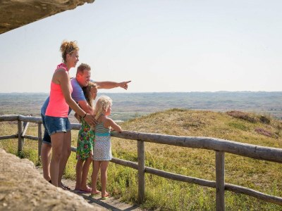 Holiday park Chalet in Texel with Private Sauna - Environment photo 16