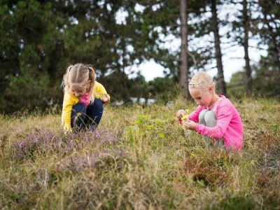 Holiday park Chalet in Texel with Private Sauna - Environment photo 22