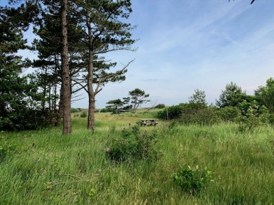 Holiday park Chalet in Texel with Private Sauna - Outdoor photo 24