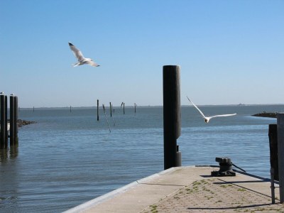 Holiday house Greetjehaus mit Garten, Nähe Strand, Dornumersiel - Outdoor photo 12