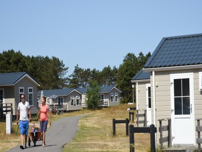 Holiday park Chalet in Den Hoorn nahe Strand für 5 Von Belvilla - Environment photo 10