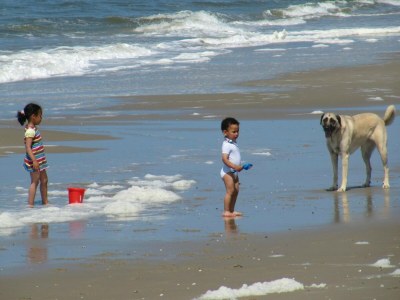 Holiday park Chalet in Den Hoorn nahe Strand für 5 Von Belvilla - Environment photo 14