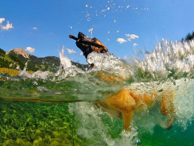 Holiday park Chalet in Präbichl with Stunning Mountain Views - Outdoor photo 15