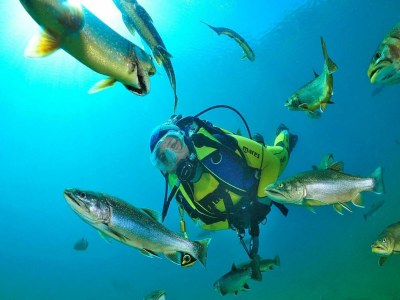 Holiday park Chalet in Präbichl with Stunning Mountain Views - Outdoor photo 16