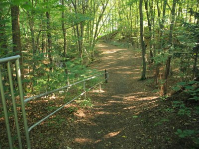 Apartment Ferienwohnung Haus am Berg, Lonau - Environment photo 14