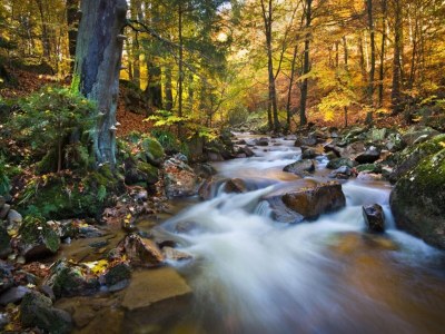 Apartment Ferienwohnung Haus am Berg, Lonau - Environment photo 15