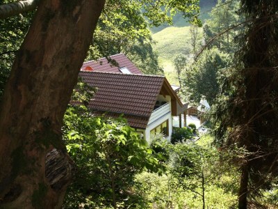 Apartment Ferienwohnung Haus am Berg, Lonau - Outdoor photo 7