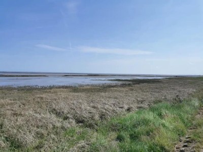 Apartment Gemütliche Ferienwohnung Dornumersiel - Environment photo 15