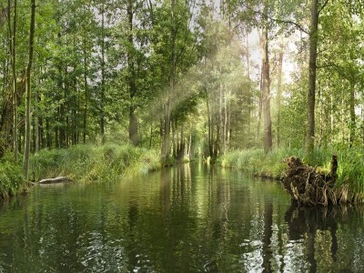 Holiday park Appartements mit Blick auf die Spree in Lübben - Environment photo 34