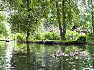 Holiday park Haus-Nr: DBS05095-CYC - Environment photo 36