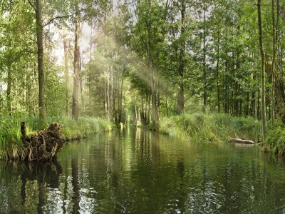 Holiday park Haus-Nr: DBS05095-CYC - Environment photo 37