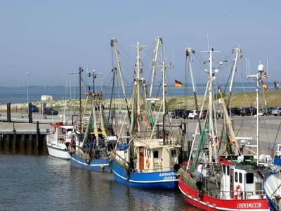 Holiday house Ferienhaus Wattperlchen in Dornum - Environment photo 15