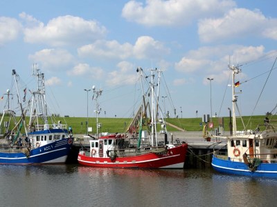 Holiday house Doppelhaushälfte Friesenglück mit Sauna - Environment photo 11