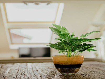 Holiday park Penthouse with Lake Views - Outdoor photo 33