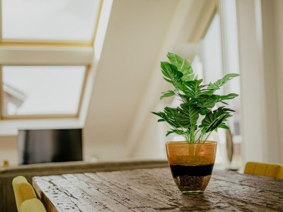 Holiday park Penthouse with Lake Views - Outdoor photo 36