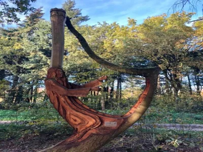 Holiday park House with a terrace near Langweerder Wielen - Environment photo 23