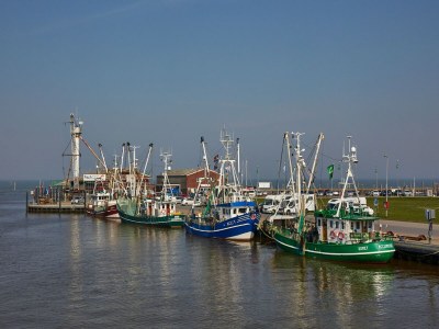 Apartment Maisonette Wohnung Meerjungfrau, Dornumersiel - Environment photo 12