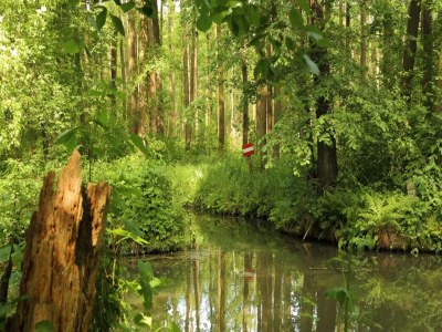 Holiday park Ferienwohnungen Spreewaldperle, Alt Zauche - Outdoor photo 15