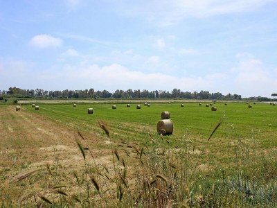 Holiday park Apartment in Ladispoli near Tyrrhenian Sea - Outdoor photo 24