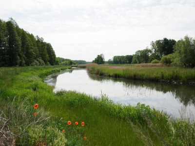 Holiday park Ferienwohnungen Spreewaldperle, Alt Zauche - Environment photo 13