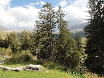 Holiday park Apartment in Flaine with Ski Lift Access - Environment photo 26