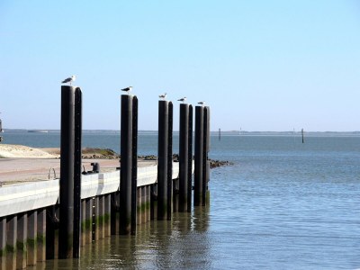 Holiday house Ferienhaus Toms Hütte mit Terrasse in Dornum - Environment photo 19