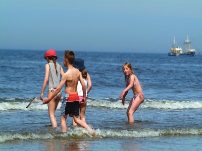 Holiday park Apartment in Egmond by the Beach - Environment photo 14