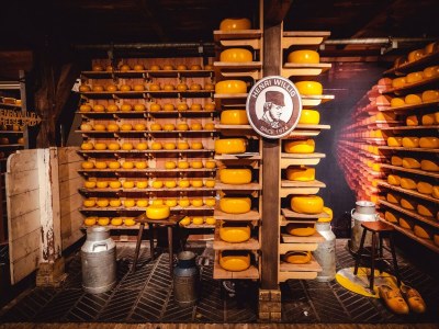 Holiday park Apartment in Egmond aan Zee near the Beach - Environment photo 26