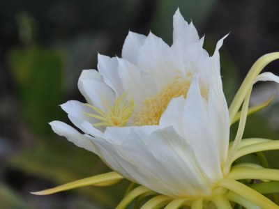 Holiday house Casa Blanca near Los Llanos - Outdoor photo 11