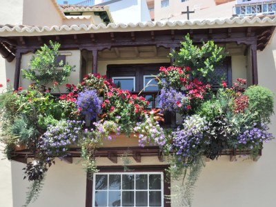 Holiday house Casa Blanca near Los Llanos - Environment photo 23
