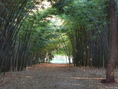 Holiday park Tranquil Villa in Cévennes - Environment photo 23