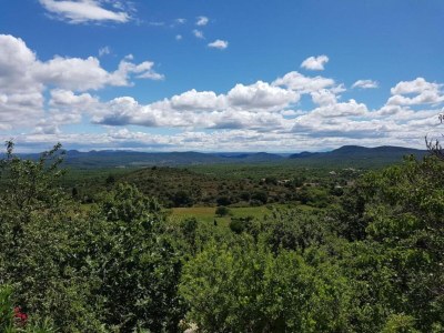 Holiday park Tranquil Villa in Cévennes - Environment photo 34