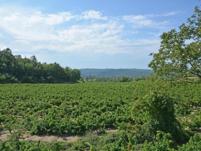 Holiday park Tranquil Villa in Cévennes - Environment photo 37
