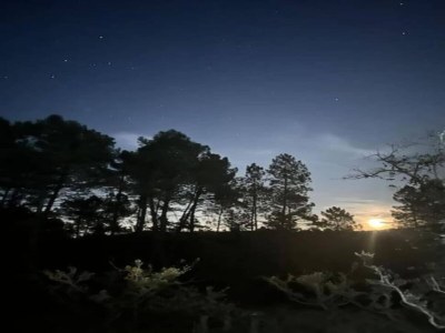 Holiday park Tranquil Villa in Cévennes - Environment photo 38