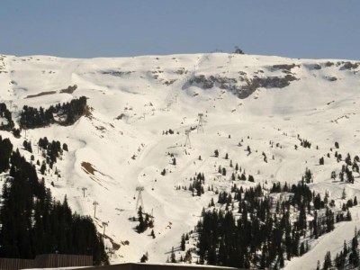 Holiday park Mountain Chalet w/ Terrace - Environment photo 13