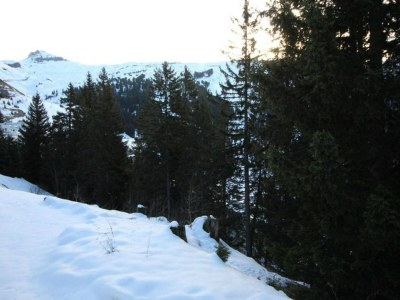 Holiday park Cozy Mountain Stay w/ Balcony - Environment photo 19