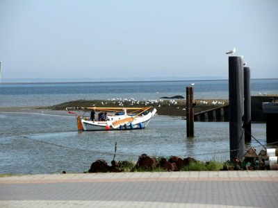 Holiday house Reihenhaus, Dornumersiel - Environment photo 25