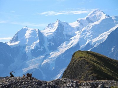 Holiday park Grand Massif Family Retreat - Environment photo 16